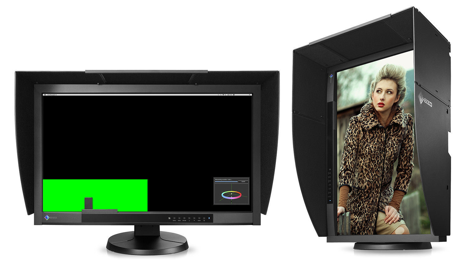 Eizo monitor best sale